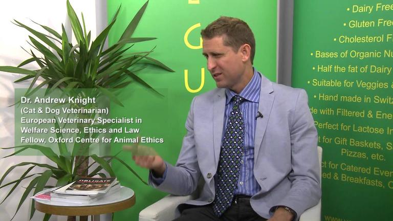 What scientific evidence is there to show that cats and dogs are affected by meat based diets?
