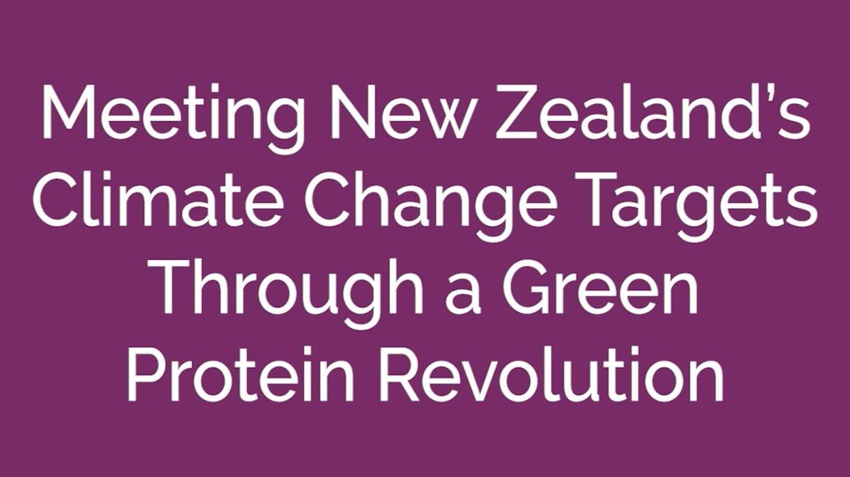 The Green Protein Report