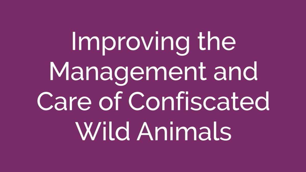 Wildlife Trade - Confiscated Animals