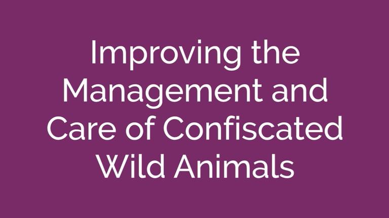 Wildlife Trade - Confiscated Animals