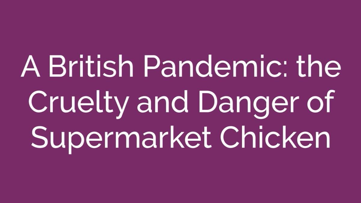 Supermarket Chicken and Pandemics