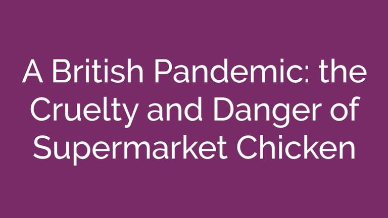 Supermarket Chicken and Pandemics