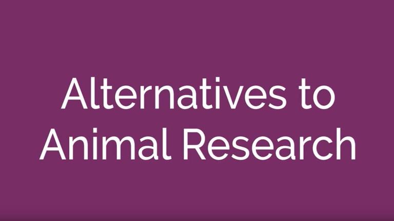 Alternatives to Animal Research