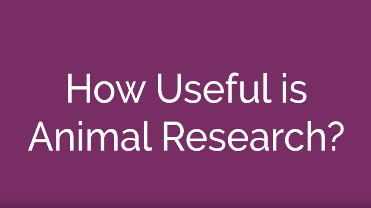 How Useful is Animal Research?