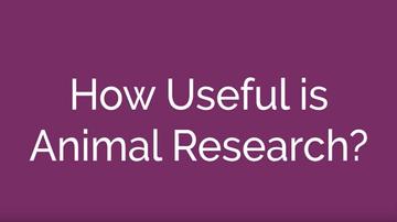 How Useful is Animal Research?