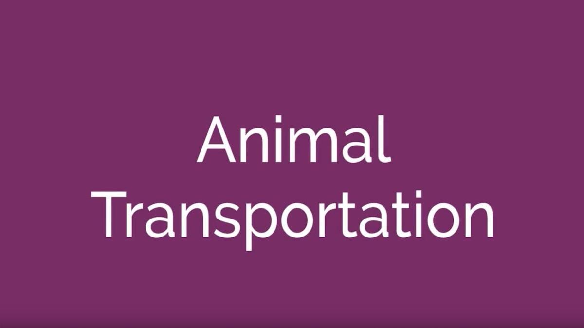 Animal Transportation