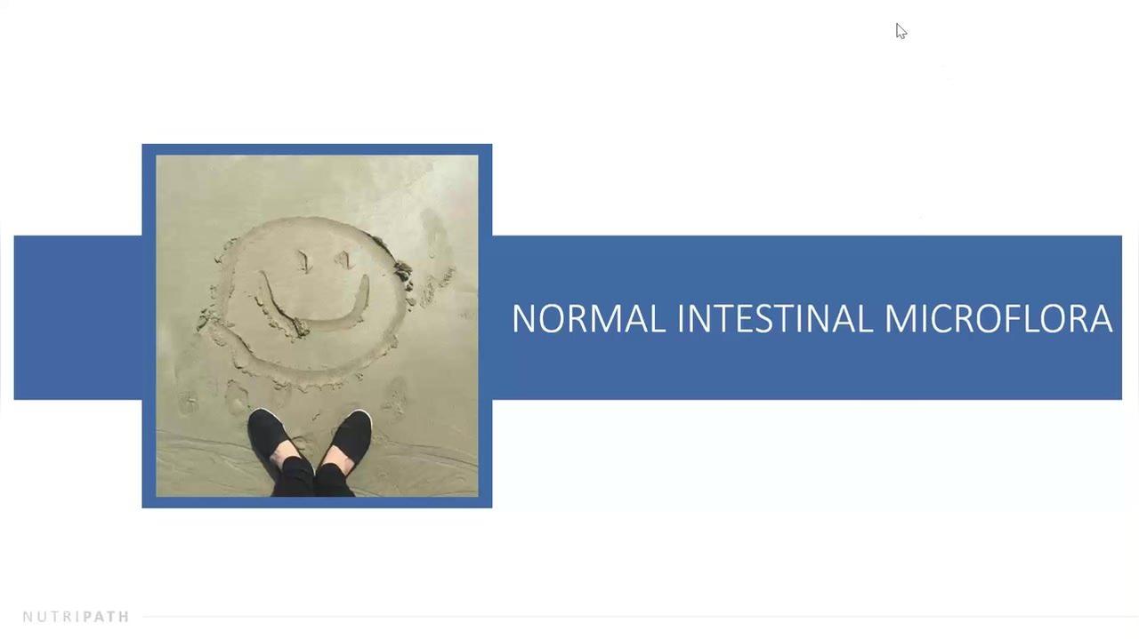 Webinar 9 - Normal Intestinal Microflora with Vanita Dahia