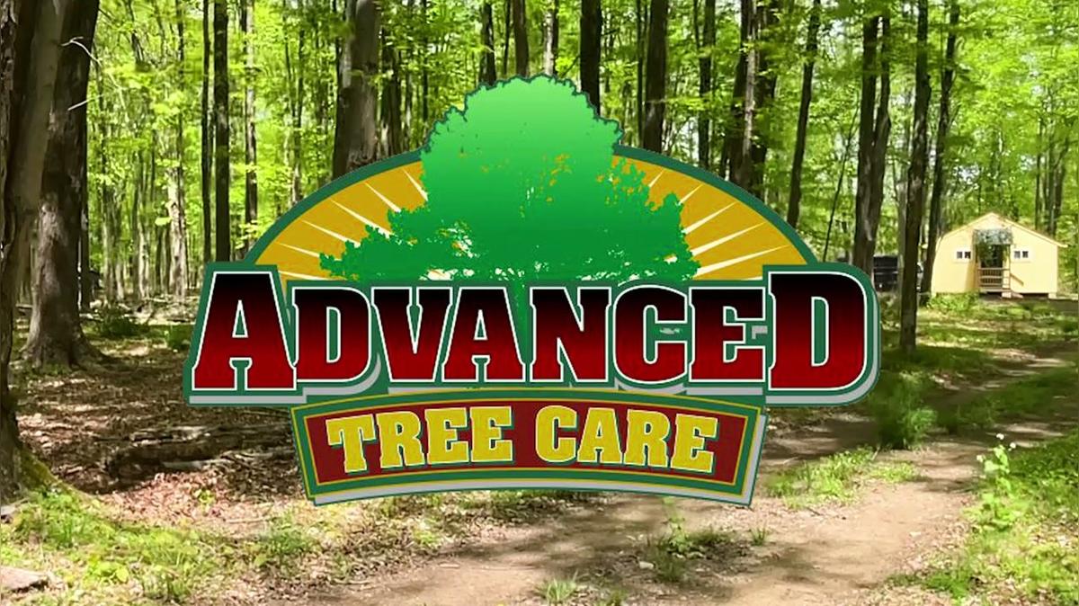 Advanced Tree Care