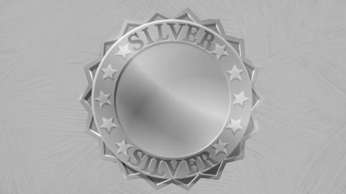 SILVER (8 WEEK) PACKAGE