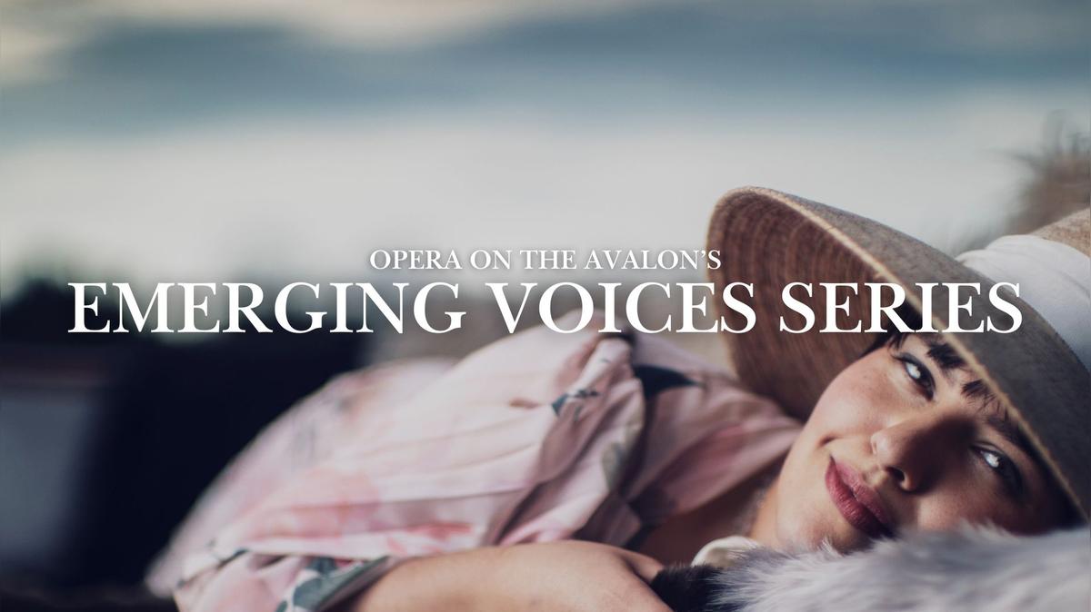 Emerging Voices Series