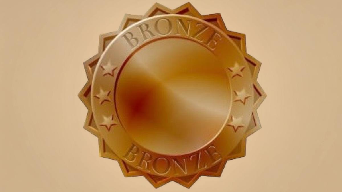 BRONZE (INTRODUCTORY) PACKAGE